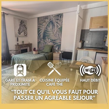 Beaublache Residence Studios Meubles Гренобъл Екстериор снимка